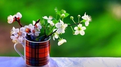 合肥代账 合肥代账
